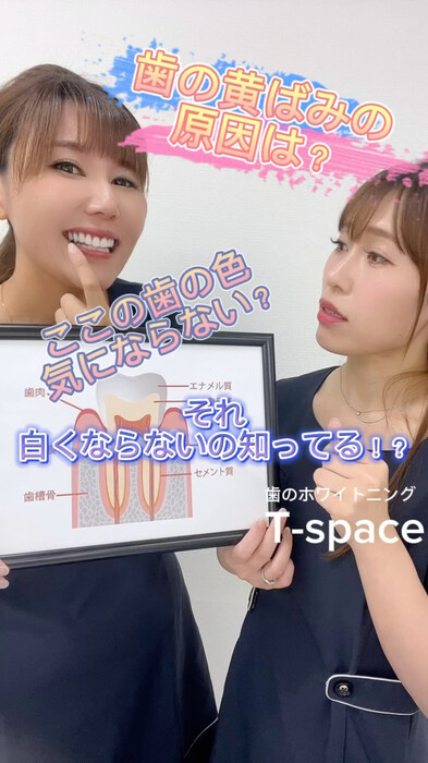 画像1041