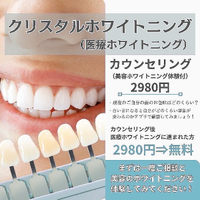画像1239