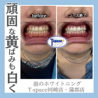 画像1286
