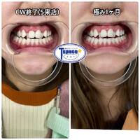 画像338