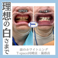 画像504
